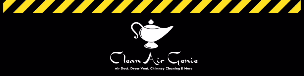 clean air genie logo