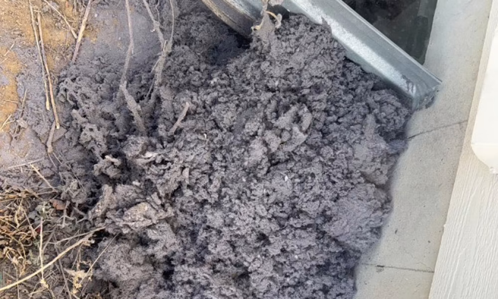 lint and debris from dryer vent
