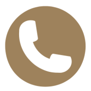 phone icon phone icon